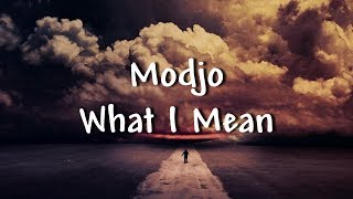 Modjo  What I Mean  Lyrics [upl. by Nnyladnarb466]