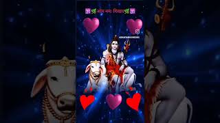 Om tryambakam yajamahe sugandhim pushtivardhanamom shortfeed subscribe shorts music song ps [upl. by Einuj]