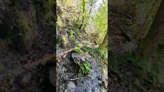 Nature ardéchoise au petit matin ardeche nature water waterfall paysage france savage [upl. by Landers]