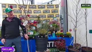 62nd Spring Open House and New Plant Introductions [upl. by Gerdeen]