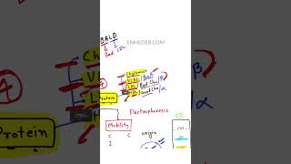 Lipoprotein Biochemistry enmeder [upl. by Lindsy969]