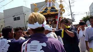 茅ヶ崎 高田 熊野神社 例大祭 2024 第6番神酒所 [upl. by Gayl]