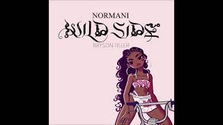 Normani  Wild Side Remix Ft Bryson Tiller [upl. by Allemrac]