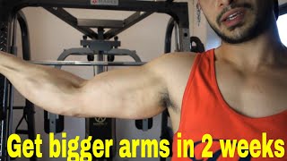 200 BICEP CURLS A DAY FOR 2 WEEKS CHALLENGE RESULTS [upl. by Hgielrak841]