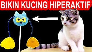 3 ALAT UNIK MAINAN KUCING CANGGIH BIKIN HIPERAKTIF [upl. by Adnawuj]