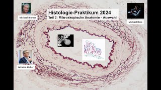 OnlineHistologiekurs  Organe Sommersemester 2024 [upl. by Akem]