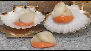 How to prepare Scallops [upl. by Pesek]