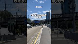 MOUNT ALEXANDER ROAD  FLEMINGTON RD shorts viral beautifulmelbourne [upl. by Matheny]