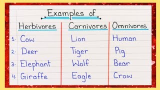 10 Examples of Herbivores Carnivores and Omnivores  Herbivores Carnivores and Omnivores Animal Name [upl. by Haugen]