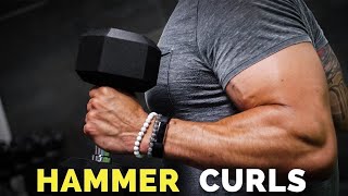 How To Do Hammer Curls for HUGE Biceps BICEP GROWTH [upl. by Ahpla895]