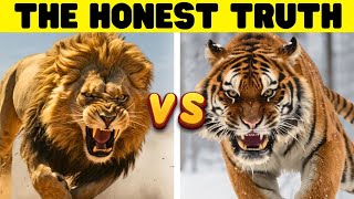 SIBERIAN TIGER vs LION  One Key Difference [upl. by Lledniw]