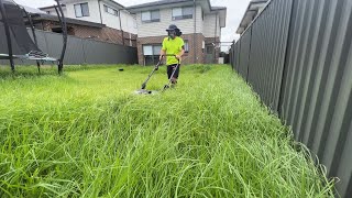 What would you FEAR most in this overgrown AUSTRALIAN yard [upl. by Aidas223]