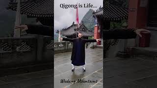 Qigong is Life [upl. by Peih786]