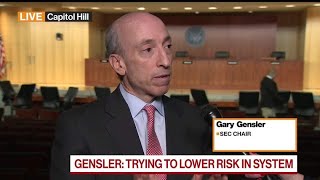 SEC Chair Gensler on New Hedge Fund Rules Crypto Regulation [upl. by Orutra]