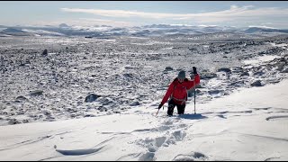 Výstup na norskou quotSněžkuquot v parku Dovrefjell 2024 Snøhetta trip Norway autumn 2024 [upl. by Ihtac]