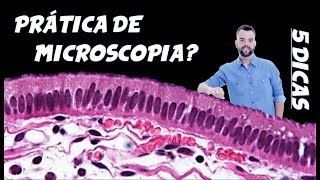 5 Dicas Aprenda a Reconhecer Lâminas de Microscopia [upl. by Darraj]