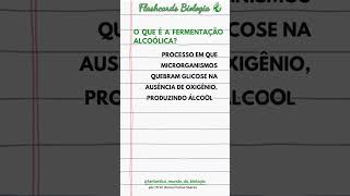 FlashCard 22 O que é a fermentação alcoólica Shorts [upl. by Walrath]