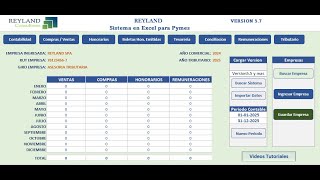 Presentacion Sistema Contable en Excel Reyland [upl. by Stanwood57]