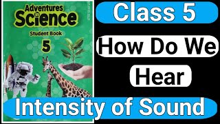 How Do We Hear  Intensity of Sound Science  Class 5 [upl. by Yelah]