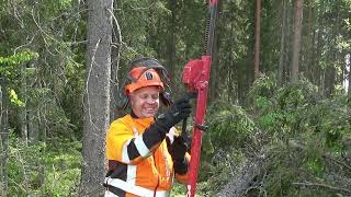 Stalpen Tree Jack Demo Mastering Precision Tree Felling [upl. by Rosina]