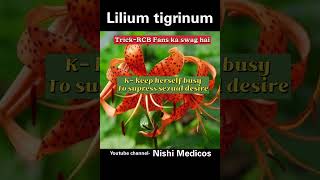 Lilium tigrinum homoeopathy medicine YouTubeNishiMedicos [upl. by Airdnat]