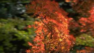 Peter White  Moonlight Montreal ♫♫♫♫♫ Smooth JAZZ [upl. by Nueormahc102]