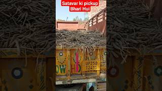 Satavar ki 🛻pickup loading Kari Hui shots viral shortsyoutube Satavarkigadi [upl. by Jemie421]