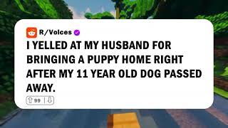 I YELLED at my husband for bringing a PUPPY home right after my 11 year old DOG passed away [upl. by Oruam648]