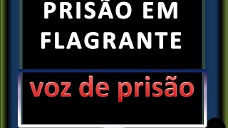 PRISÃO EM FLAGRANTE [upl. by Esme]