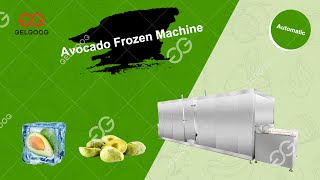 IQF Frozen Avocado Fluidized Bed Freezer 1000KgH [upl. by Osborne630]