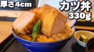 【千葉県君津市すずの木】厚さ4cmのカツ丼 [upl. by Anesusa]