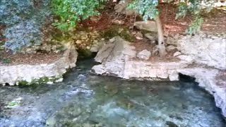 Comal Springs at Landa Park in New Braunfels Texas [upl. by Goff]