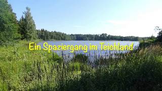 Spaziergang im Teichland [upl. by Skricki]