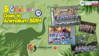 Field Trip 5 Granada goes to ANIMALIUM BRIN [upl. by Fanya]