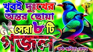 খুবই দুঃখের কবরের শেষ বিদায়ের কষ্টের সেরা মায়াবী কন্ঠে মন প্রাণ জুড়ানো ৮টি গজল New Islamic song [upl. by Ejrog]