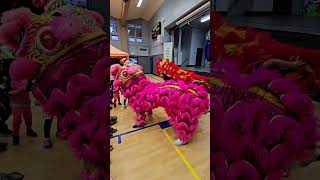 Piedmont Middle School MIDAUTUMN FESTIVAL artdanceliondancemusic [upl. by Eberhart]