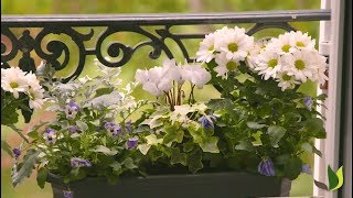 Décorer un balcon avec une jardinière d’hiver  Truffaut [upl. by Narot]