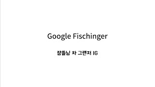 Google Fischinger 잠뜰님 차 그랜저 IG [upl. by Ainslie453]