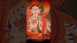 5 Activities of Namgyalma Ushnisha Vijaya Five Powers Mantra Pacifying Enriching Wrathful [upl. by Mahala581]