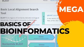 MEGA  Phylogenetic Tree building using MEGA Bioinformatics Malayalam [upl. by Valenka]