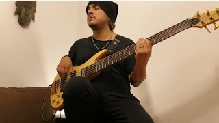 Chili Fernández  Loco Por Volverte A Ver BASS COVER [upl. by Esinel]