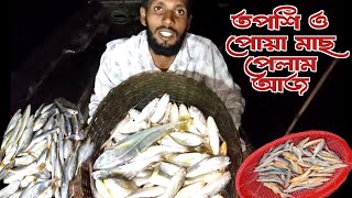 প্রচুর তপশি ও পোয়া মাছ পেলাম আজ  Adventure Fishing BD  Fishing video fishing viralfishingvideo [upl. by Merla]