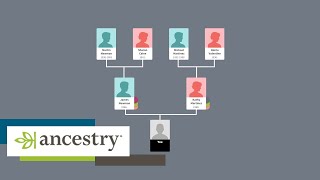 How Ancestry works  Howto  Ancestry UK [upl. by Peadar]