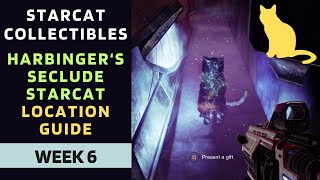 Harbingers Seclude Starcat Location Guide  Harbingers Seclude Starcat location  Destiny 2 [upl. by Ahsiuqat]