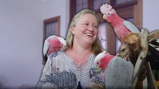 The 3 Sub Species of Galahs  Different Types of Galah Cockatoos [upl. by Drallim]