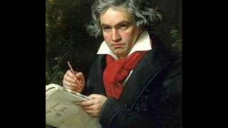 Beethoven 5th Symphony 3rd movement Allegro [upl. by Rabiah]