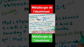 Métallurgie de laluminium élaboration de laluminium indiamaroo movies short [upl. by Player650]