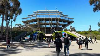 Springtime Stroll Through UC San Diego  4K HDR [upl. by Atterol811]