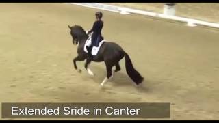 Charlotte Dujardin  types of Dressage movements [upl. by Chrisse]