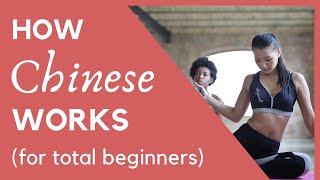 Learn How CHINESE Works in 15 minutes pinyin zhuyin characters Chinese tones [upl. by Brackely]